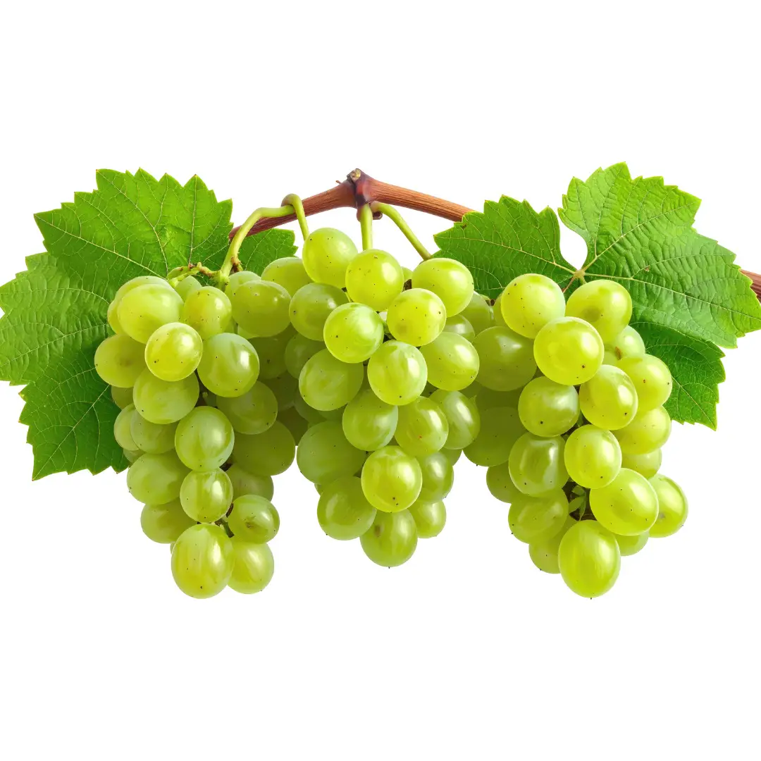Green Grapes
