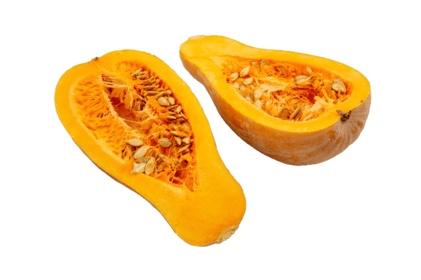 Butternut squash