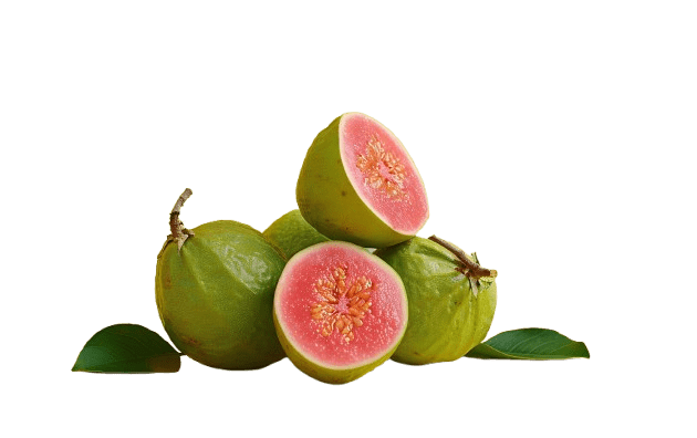 guava
