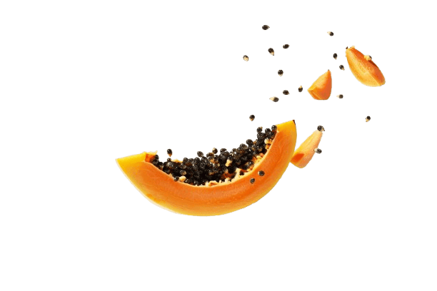 Papaya