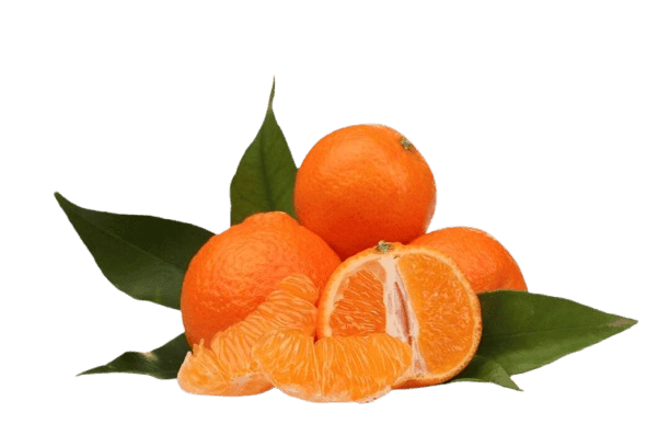 Mandarin Orange
